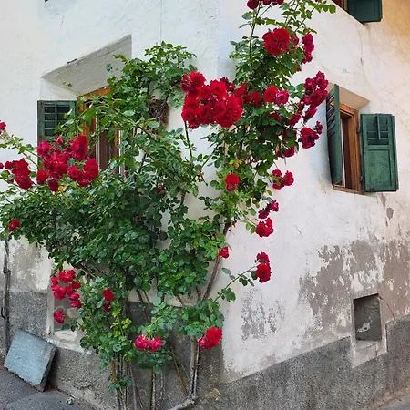 Apartamento - La Roesa